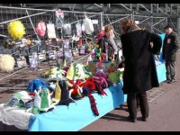 Carnaval de Nice : Des avis partagés