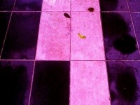 Carnaval de Nice, édition 2013 : Le roi est mort... vive le roi !