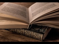 Ce que les humains pourraient être