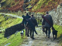 Chasse : le plan de sécurisation du gouvernement en 5 questions