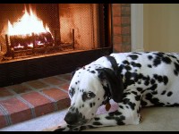 Chauffage de la maison : quelle est la température idéale ?