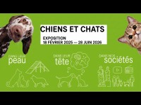 Chiens & Chats : l'expo irrésistible qui décortique (et dépoile) nos compagnons à quatre pattes à la Cité des sciences