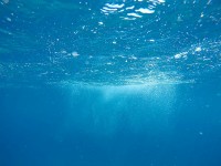 Collagène marin : comment bien le choisir et l'utiliser ?