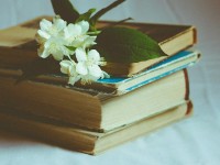 Comment célébrer la Journée mondiale du livre le 23 avril ?