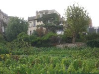 Comment éviter le ciel blanc en photographie ?