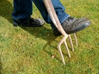 Comment préparer son jardin avant les plantations ?