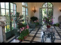 Comment préserver vos plantes d'intérieur pendant l'hiver