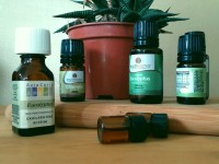 Comment soigner les plantes avec des huiles essentielles ?