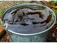 Comment utiliser l'eau de pluie à la maison et au jardin ?