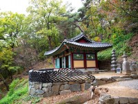 Corée du Sud : partez à la découverte des sansa