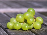 Cotton Candy Grapes : l'incroyable raisin au goût de barbe à papa