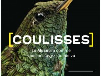 Coulisses : une exposition exceptionnelle au Muséum d'histoire naturelle du Havre
