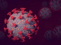 Covid : 5 choses à savoir sur le variant BA2