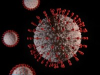 Covid-19 : il y aurait 6 formes de la maladie