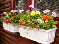 Créer une jardinière de fleurs : guide pratique
