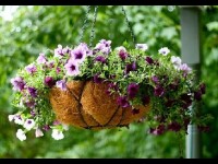 Créer une suspension fleurie : guide pratique