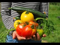 Cultiver son jardin au naturel par l'association des plantes !