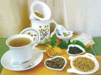 Cystite : 5 plantes efficaces contre les infections urinaires