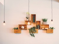 Déco végétale : 5 astuces pour mettre vos plantes en valeur