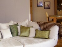 Décoration cocooning : conseils et astuces