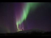 Découvrir la faune et les paysages de l'Arctique en Finlance