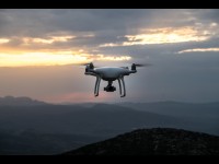 Des drones pour suivre l'évolution de la faune