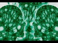 Des scientifiques découvrent un circuit associé à la dépendance chez les rats