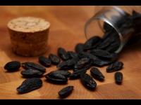 Dipteryx odorata : l'arbre qui donne la fève tonka