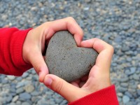 Don d'organes : que dit la loi ?