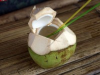 Eau de coco : quels bienfaits ?