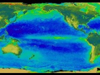 El Niño : présentation et description 