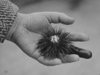 Eli Lotar : un photographe singulier, entre surréalisme et photo documentaire