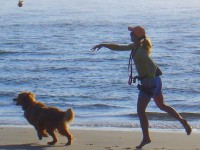 Emmener son chien à la plage : conseils pratiques