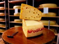 Emmental de Savoie : 6 choses à savoir sur ce fromage