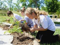Laquelle de ces écoles permet de se former aux métiers du paysage ?
