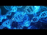 En savoir plus sur vous, grâce à l'ADN