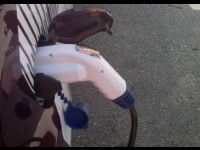 Ever 2011 : Ce qu'il faut savoir sur l'électrique à Monaco