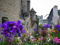 Explorez Quimper, la ville d'art et d'histoire de la Bretagne
