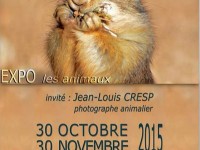 Expo photo Les animaux : une exposition vente à Biot