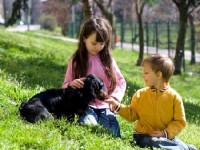 Faire cohabiter un chien et un enfant : conseils pratiques