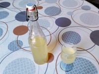 Faire de la limonade maison : la recette facile