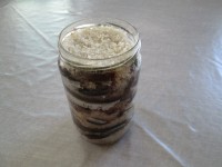 Faire des anchois au sel : la recette étape par étape