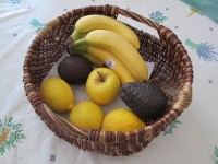 Faire mûrir les fruits après récolte : guide pratique