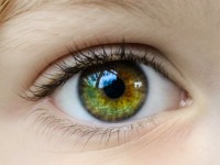 Faire photographier son iris : une tendance photo qui en met plein la vue