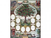 Faire son arbre généalogique : par où commencer ?