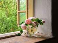 Faire un bouquet champêtre en 5 questions