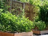Faire un potager en carrés : guide pratique