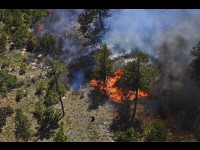 Feux de forêt : 5 conseils de prévention