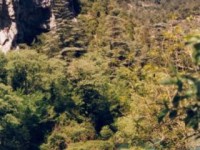 Fontaine de Vaucluse