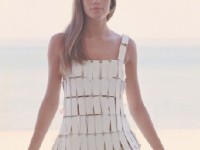 Françoise : Françoise Hardy vue par Jean-Marie Périer